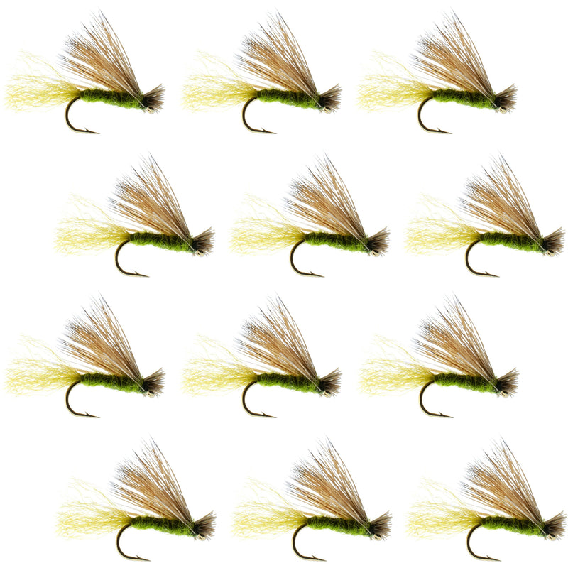 Set of 12 Olive X Caddis dry fly fishing flies with elk hair for trout, size 18, designed for trout angling.
