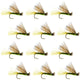 Olive X Caddis Emerging Caddis Adult Trout Dry Fly - 1 Dozen Flies Hook Size 16