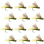 Set of 12 Olive X Caddis adult trout dry flies with elk hair, size 14, for fly fishing, by The Fly Fishing Place.