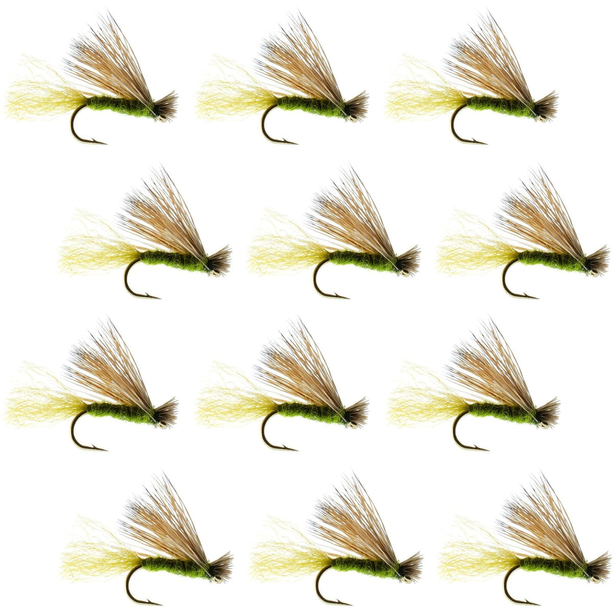 Set of 12 Olive X Caddis adult trout dry flies with elk hair, size 14, for fly fishing, by The Fly Fishing Place.