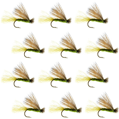 Set of 12 Olive X Caddis adult trout dry flies with elk hair, size 14, for fly fishing, by The Fly Fishing Place.