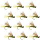 Olive X Caddis Emerging Caddis Adult Trout Dry Fly - 1 Dozen Flies Hook Size 14