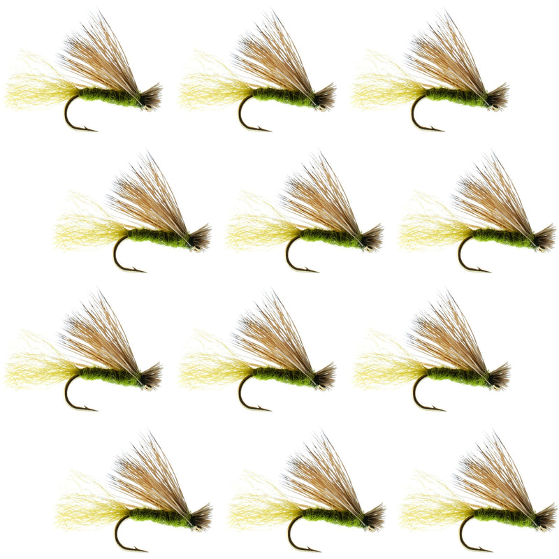 Set of 12 Olive X Caddis adult trout dry flies with elk hair, size 14, for fly fishing, by The Fly Fishing Place.