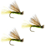 Three olive-colored Elk Hair Caddis dry flies for trout fishing, size 14, from The Fly Fishing Place.