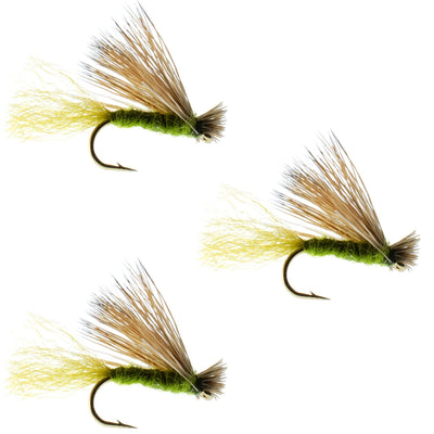 Three olive-colored Elk Hair Caddis dry flies for trout fishing, size 14, from The Fly Fishing Place.