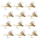 Set of 12 tan X Caddis Elk Hair dry flies for trout fishing, size 16, by The Fly Fishing Place.