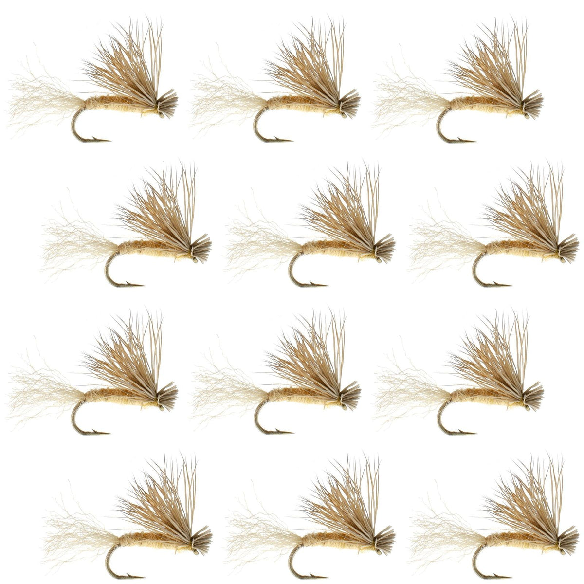 Set of 12 tan X Caddis Elk Hair dry flies for trout fishing, size 16, by The Fly Fishing Place.