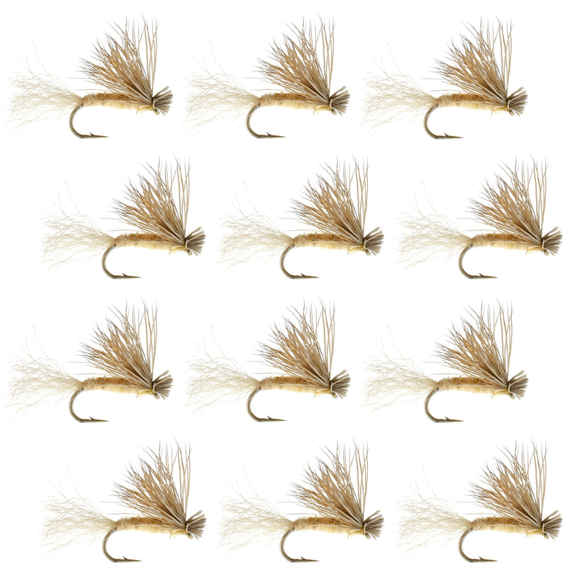 Set of 12 tan X Caddis Elk Hair dry flies for trout fishing, size 16, by The Fly Fishing Place.