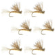 Tan X Caddis Emerging Caddis Adult Trout Dry Fly - 6 Flies Hook Size 14