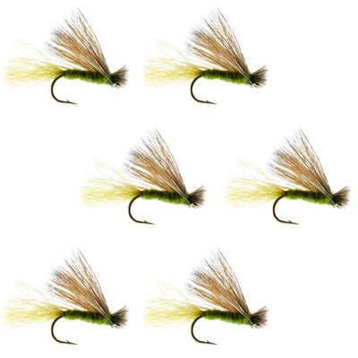 Six Olive X Caddis adult trout dry flies with elk hair, size 18, designed for fly fishing by The Fly Fishing Place.