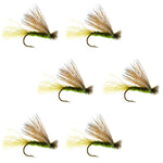Olive X Caddis emerging dry fly for trout, 6-hook set size 14, with elk hair and detailed fly pattern for fly fishing.