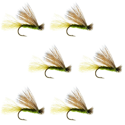 Olive X Caddis emerging dry fly for trout, 6-hook set size 14, with elk hair and detailed fly pattern for fly fishing.