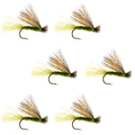 Olive X Caddis adult trout dry fly set with six size 16 flies featuring elk hair for fly fishing.